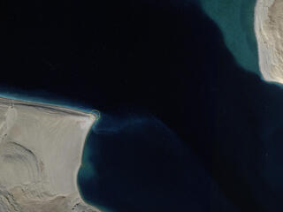 Satelitte image showing coastline with walrus community circled