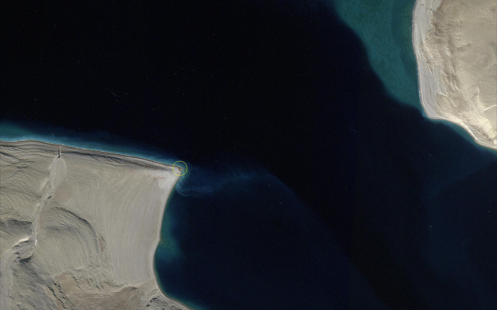 Satelitte image showing coastline with walrus community circled