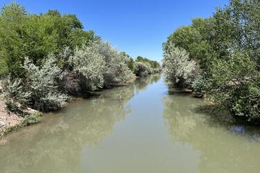 The Upper Rio Grande flowing on a sunny day with trees on the banks