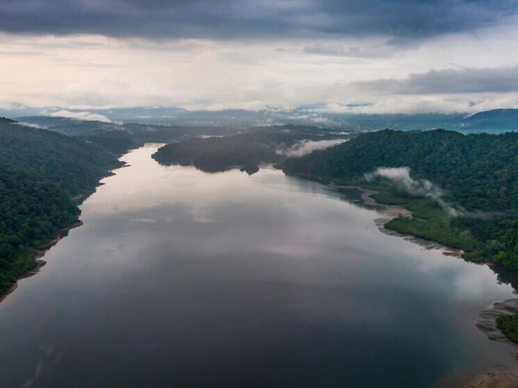 river heading to the horizon with forest on both sides