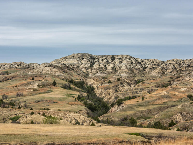 grasslands landscape 