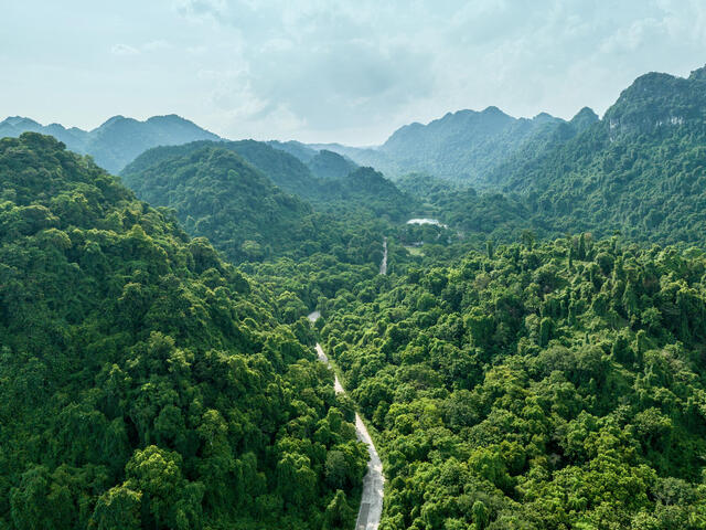 Green mountains of Vietnam