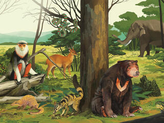 Illustration of many animal species in Vietnam