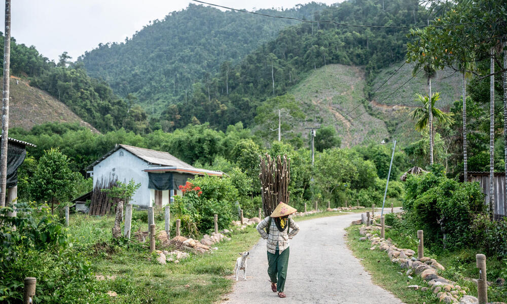 A man carrying sticks on his back walks along a path in a village