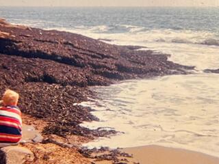 Boy at seashore on sunny day looking at waves and seaweed
