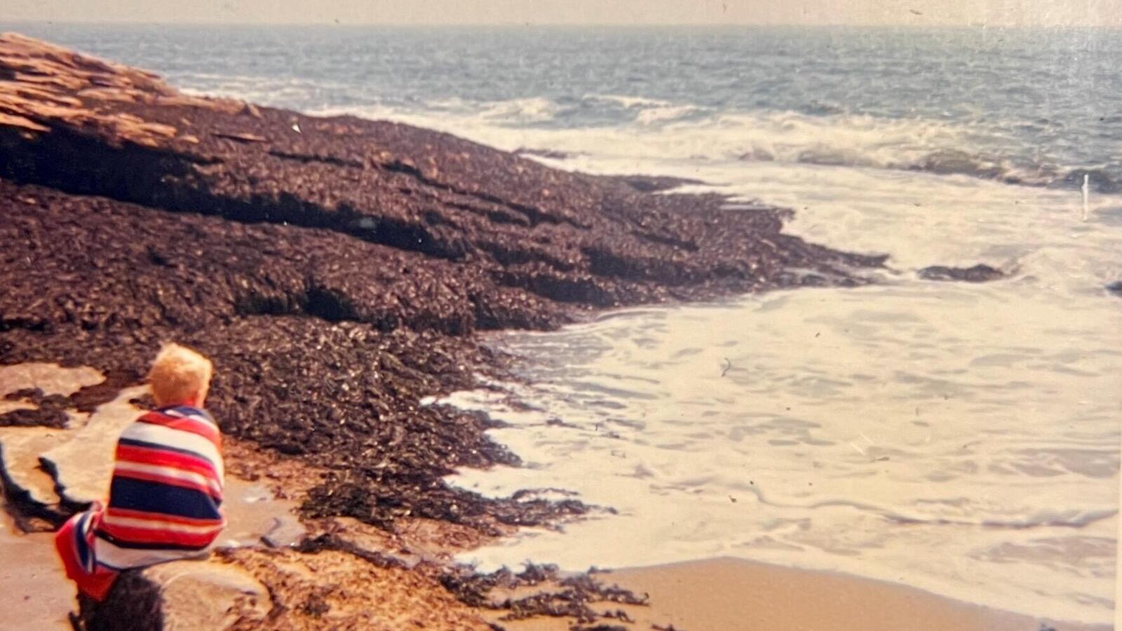 Boy at seashore on sunny day looking at waves and seaweed