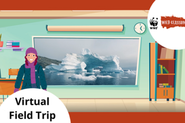 Virtual field trip to the Arctic