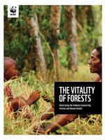 The Vitality of Forests: Illustrating the Evidence Connecting Forests and Human Health Brochure
