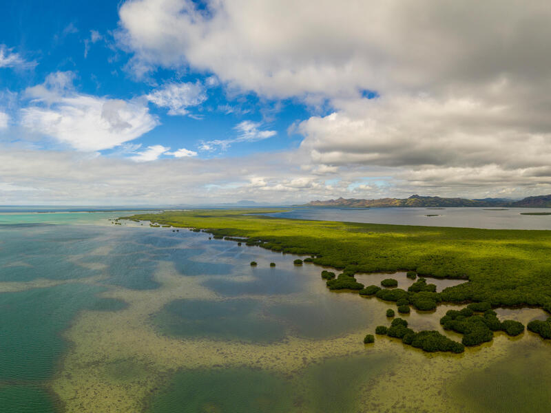 Aerial view of costal mangroves with the sky reflecting off the water