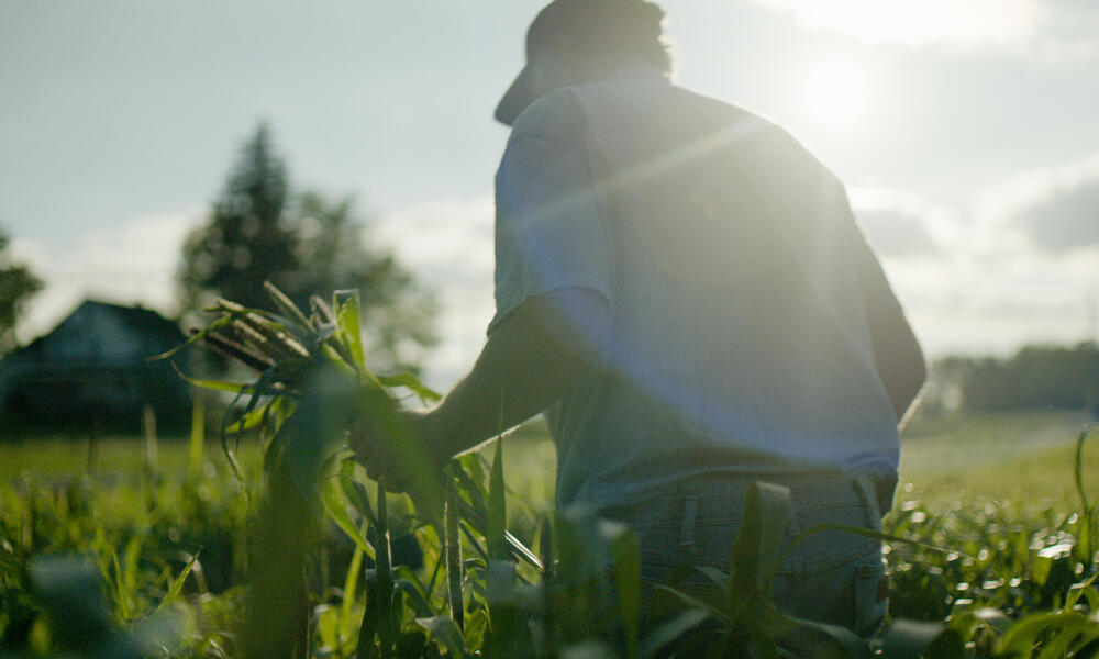 a farmer during harvest