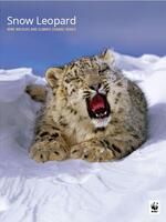 Snow Leopard: WWF Wildlife and Climate Change Series Brochure
