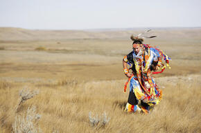 1.6 million acres of Great Plains grasslands were destroyed in 2021 alone,  World Wildlife Fund says