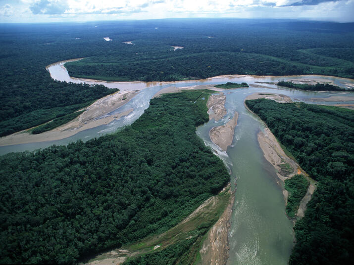 Two rivers intersect in a forest landscape