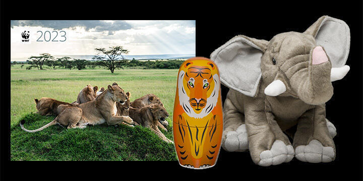 collage of popular items including 2023 calendar, nesting doll, and elephant plush