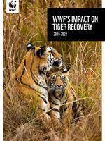 WWF's Impact on Tiger Recovery Brochure