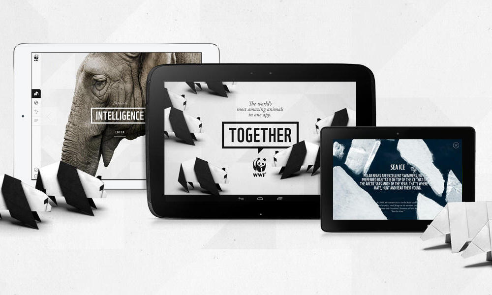 WWF Together Homepage Promo