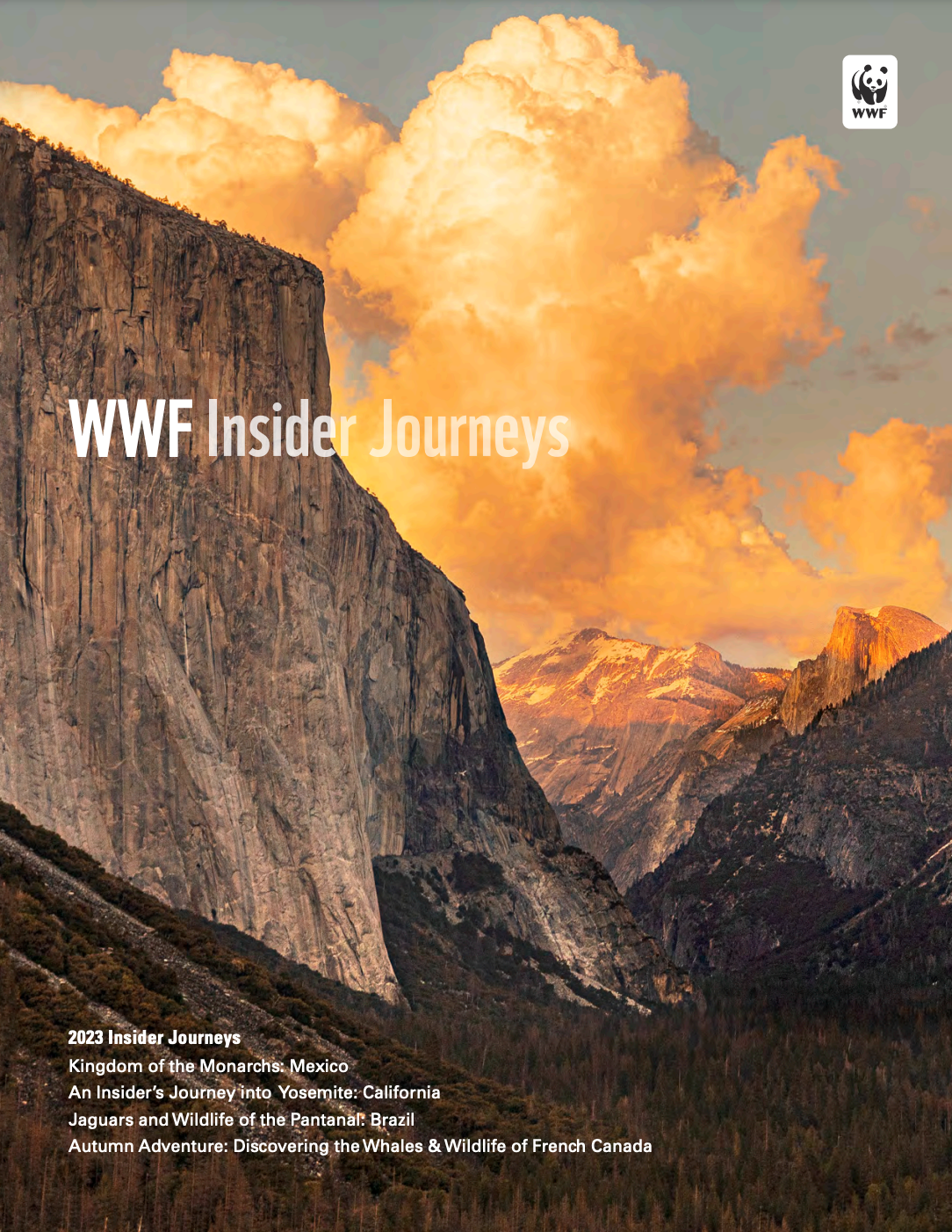 WWF Insider Journeys Brochure 2022 Brochure
