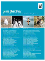 WWF Bering Strait Birds List Brochure