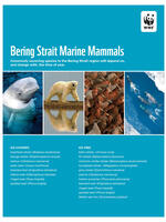 WWF Bering Strait Marine Mammals List Brochure