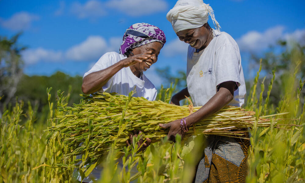 Two women smile as they tie up newly harvested plants