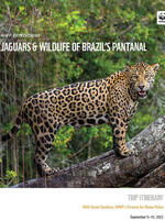 WWF Expedition Jaguar Brazil 2022 v3 Brochure
