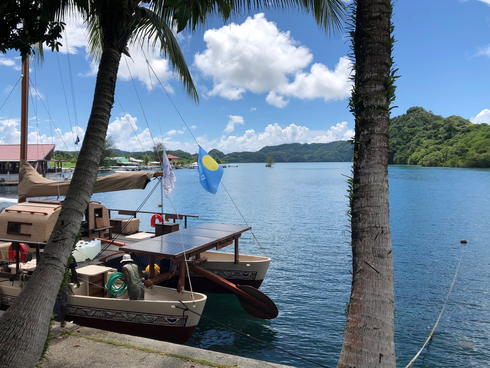 Boats tied to a dock in a tropical location