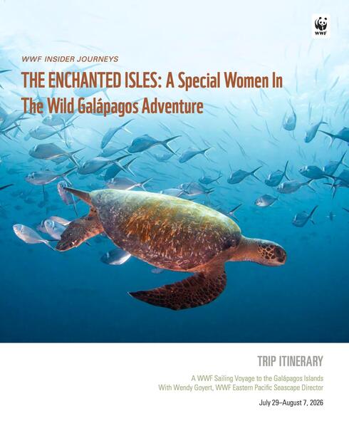 Download brochure