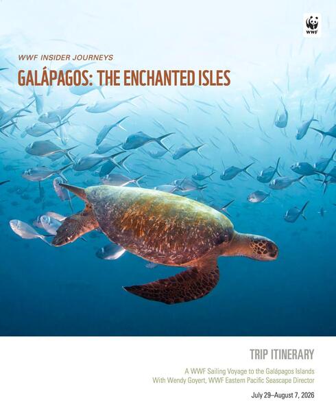 Download brochure
