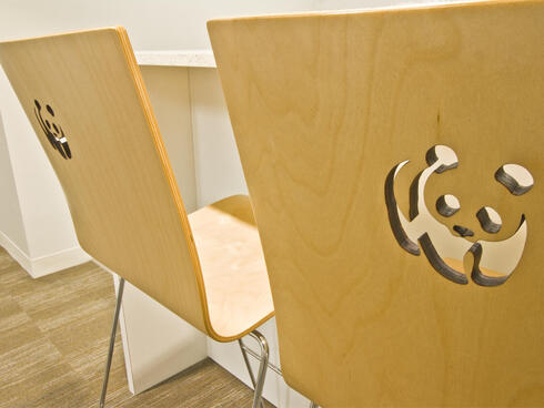 Branded chairs at WWF green HQ