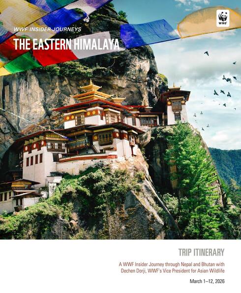 Download brochure
