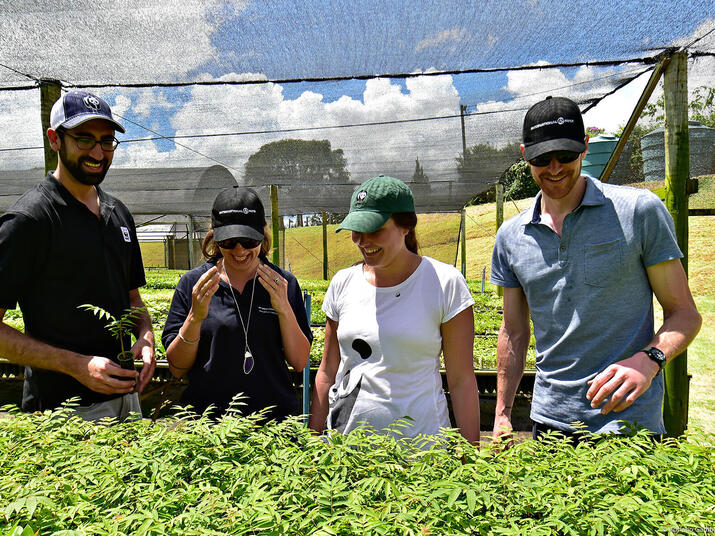 Staff from WWF and International Paper at a tree nursery in Mogi Guacu