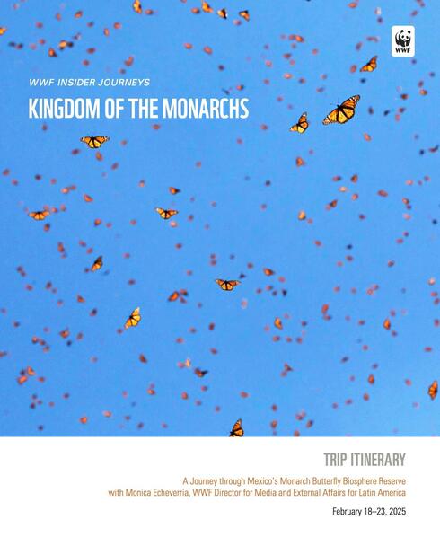 Download brochure