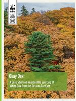 Okay Oak: A Case Study on Responsible Sourcing of White Oak from the Russian Far East Brochure