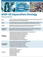 WWF-US Aquaculture Strategy Brochure