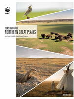 2018 NGP Donor Report Brochure