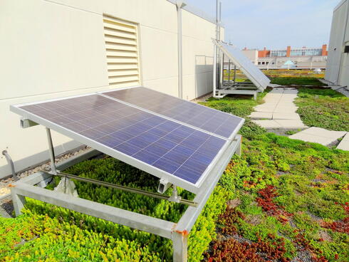 WWF green HQ - solar panels on green roof