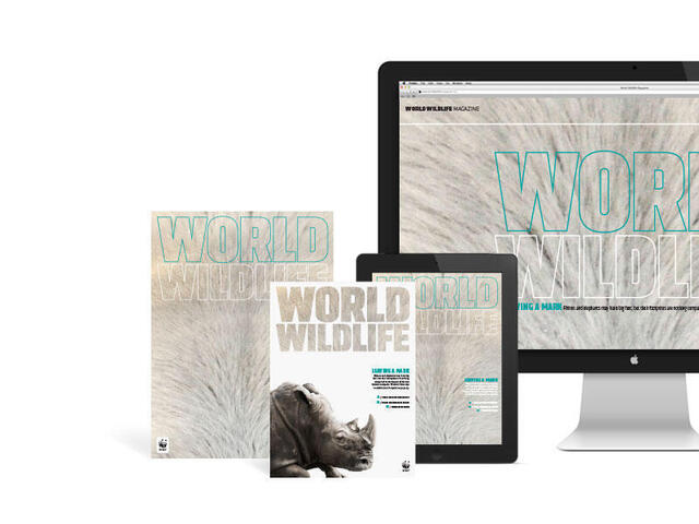 WWF Magazine - Print and digital