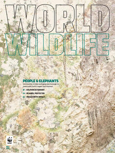 World Wildlife Magazine Fall 2022 cover