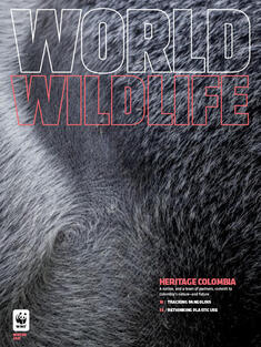 World Wildlife Magazine Winter 2023 cover