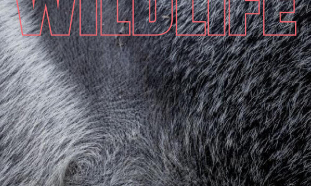 Winter 2023 | Magazine Issues | WWF