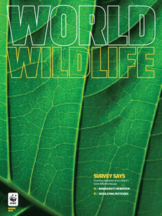 World Wildlife Magazine Spring 2024 cover