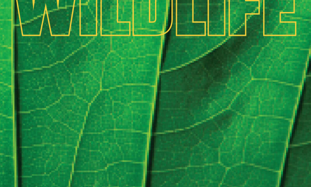 Spring 2024 | Magazine Issues | WWF
