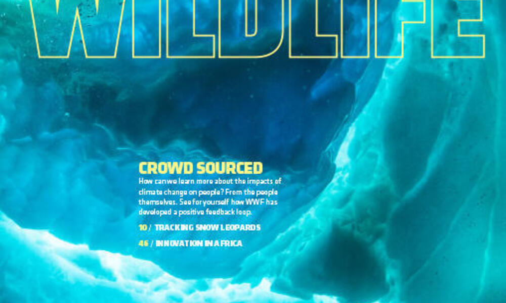 World Wildlife Magazine | WWF
