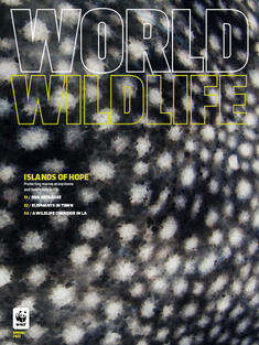 World Wildlife Magazine Spring 2025 cover