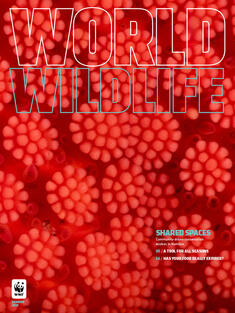 World Wildlife Magazine Summer 2023 cover
