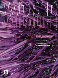World Wildlife Magazine Summer 2025 cover