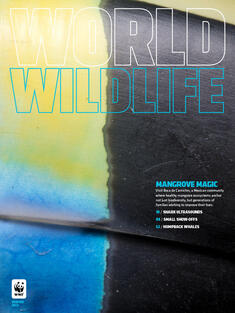 World Wildlife Magazine Winter 2022 cover