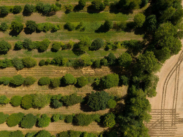 Aerial views of Wakelyns Farm, Fressingfield, Suffolk