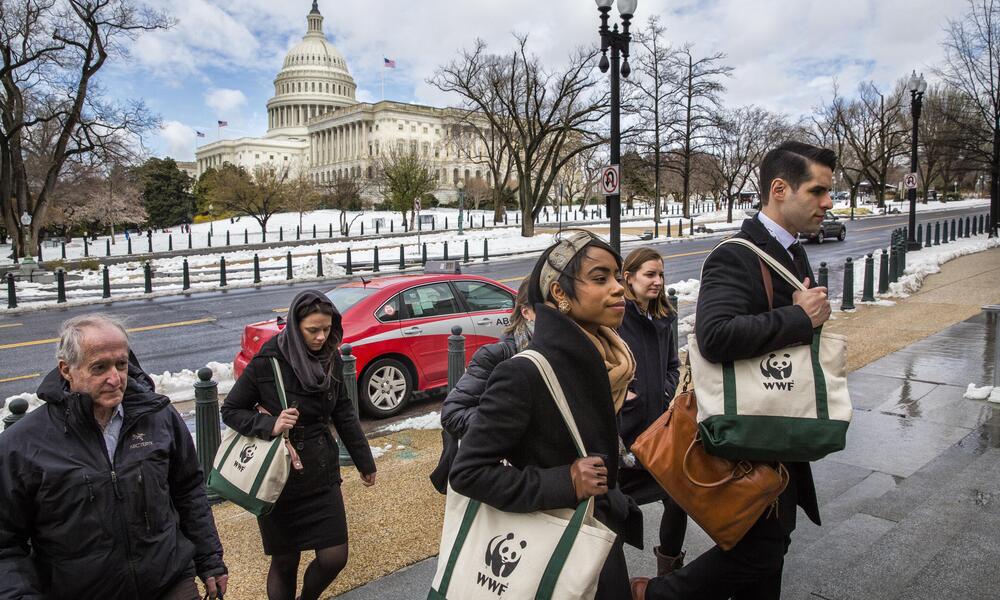 activists walk up steps to Congressional building