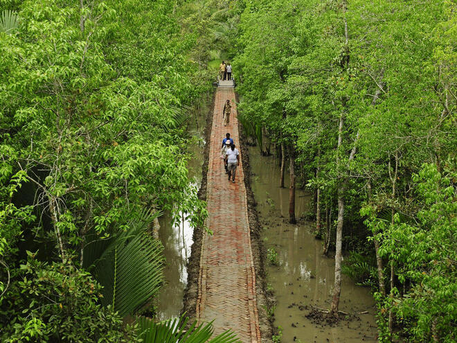 People walk on a built walkway through a wet area of the Sundarbans